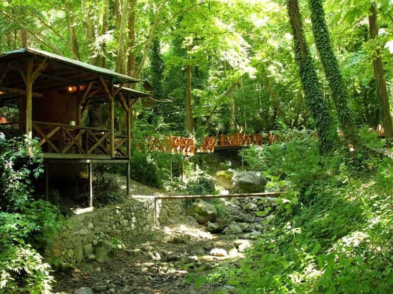 Guided Day Trip to Sapanca and Masukiye From Istanbul - Masukiye Waterfall: Nature Time, Photos, and Vibes
