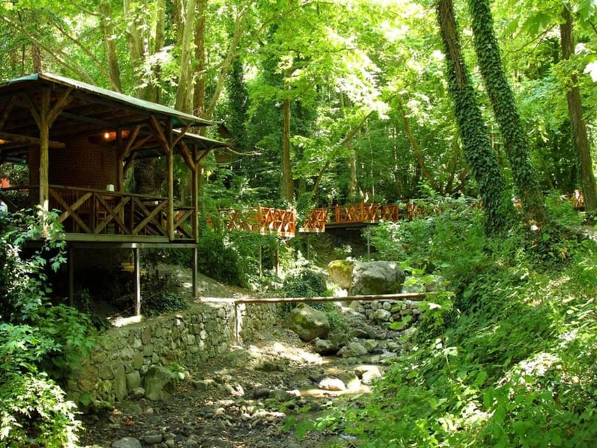 Guided Day Trip to Sapanca and Masukiye From Istanbul - Kartepe and Optional Thrills: What’s Included vs. Paid Onsite