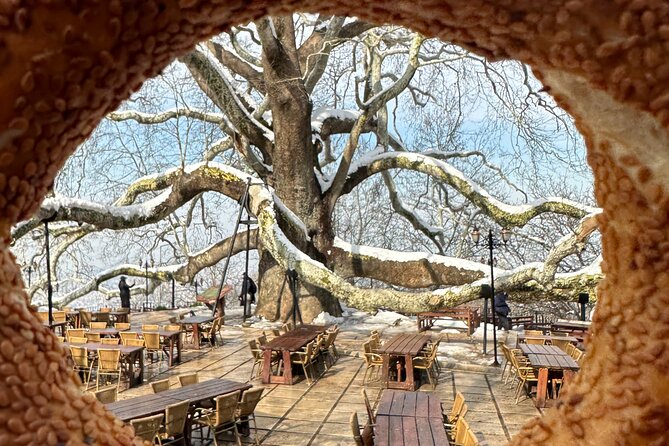 Guided Green Bursa Tour with Cable Car From Istanbul to Uludag - The ferry return via Yalova to Gebze: a small sea bonus