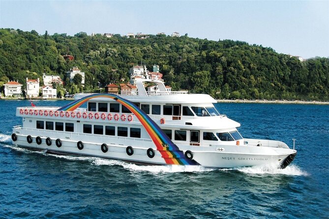 Hagia Sophia, Bosphorus cruise, Blue Mosque, Guided - Small Group - Price and Value: What You Get for About $54