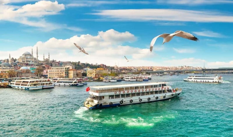 Hagia Sophia, Bosphorus cruise Blue Mosque, Small Group tour - Morning Start at Sultanahmet: Blue Mosque First