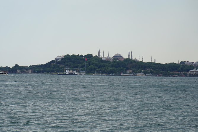 Half Day Morning Bosphorus Cruise & Spice Bazaar visit (Bus and Boat Tour) - Bosphorus cruise: Europe, Asia, and the Dolmabahce waterfront
