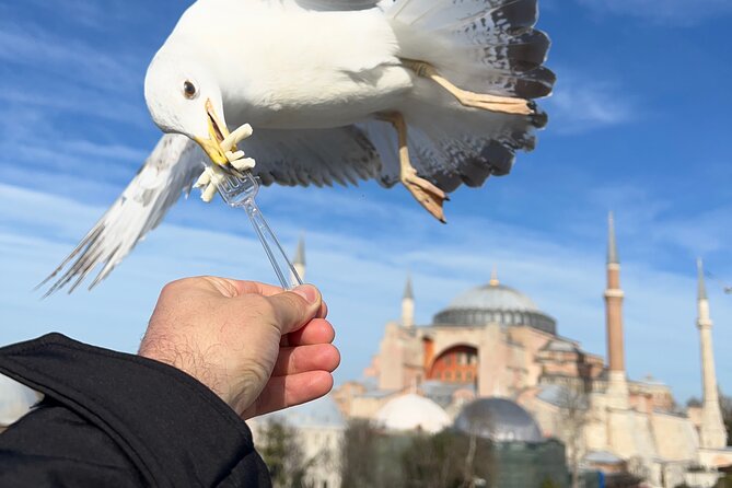 Imperial Traces of Istanbul – Private Guided Signature Tour - Stop 3: Topkapi Palace without getting lost in the palace maze