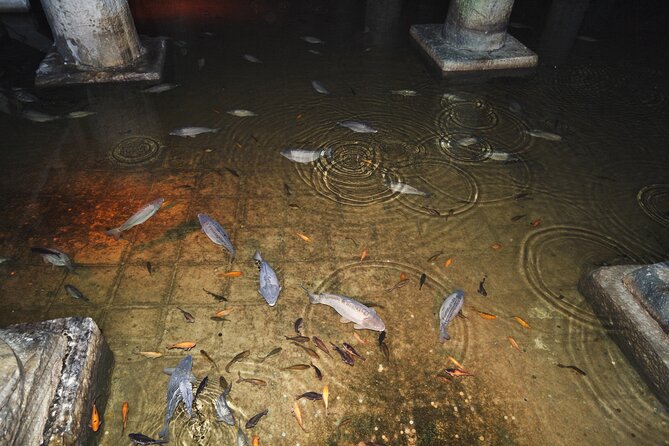 Istanbu City Walk: Topkapi Palace, Harem, & Basilica Guided Tour - Topkapi Palace in 2 Hours: More Than Just Beautiful Rooms