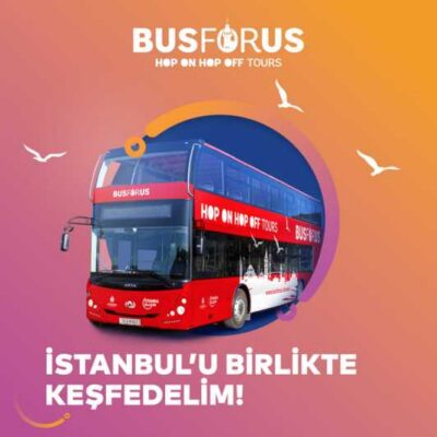 Istanbul: 48-Hour Hop-On Hop-Off Double Decker Bus Ticket - Blue and red routes: what you’re really buying