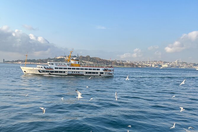 Istanbul Airport or Cruise Ship Private Layover Tour - Price and Value: $475 Per Group Up to 8