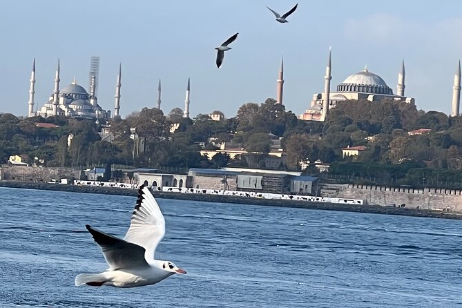 Istanbul Airport or Cruise Ship Private Layover Tour - A Private Tour for Small Groups Who Want Real Choices