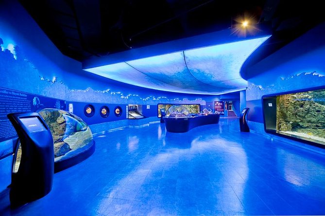 Istanbul Aquarium and Aqua Florya Independent Shopping Trip - Key Things You Should Know Before You Go