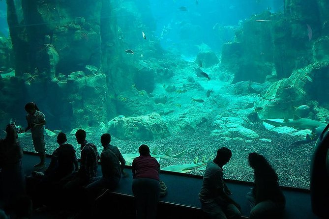 Istanbul Aquarium and Aqua Florya Independent Shopping Trip - Aqua Florya: Shopping Time With 140+ Stores Across 4 Floors