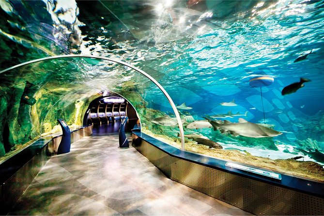 Istanbul Aquarium and Aqua Florya Independent Shopping Trip - Who This Suits Best (and Who Should Consider a Different Plan)