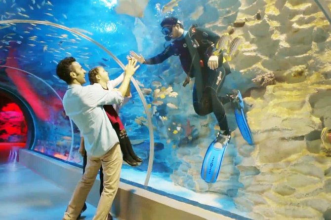Istanbul Aquarium and Aqua Florya Independent Shopping Trip - Meeting at 10:00 and Getting to Aqua Florya Smoothly