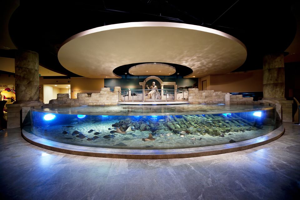 Istanbul Aquarium and Aqua Florya Shopping Mall Tour - Key highlights at a glance