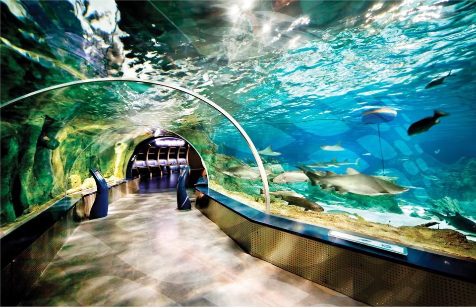 Istanbul Aquarium and Aqua Florya Shopping Mall Tour - 16 Themed Zones: From the Black Sea to the Pacific Ocean