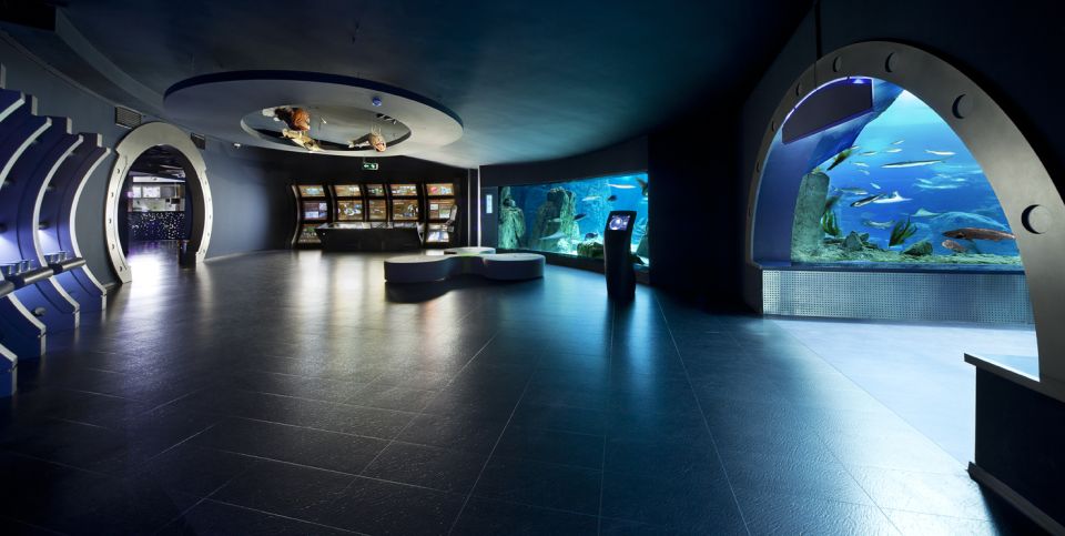 Istanbul Aquarium and Aqua Florya Shopping Mall Tour - 5D Cinema: Fog, Wind, and Water Effects