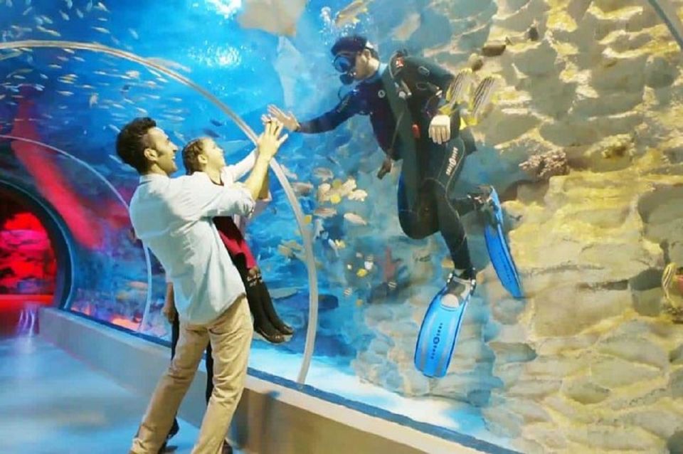 Istanbul Aquarium and Aqua Florya Shopping Mall Tour - Aqua Florya Free Time: Shopping and Eating on Your Terms
