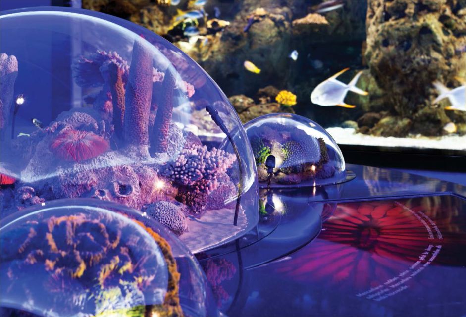 Istanbul Aquarium and Aqua Florya Shopping Mall Tour - Price and Value: Is $177 Per Person Fair?