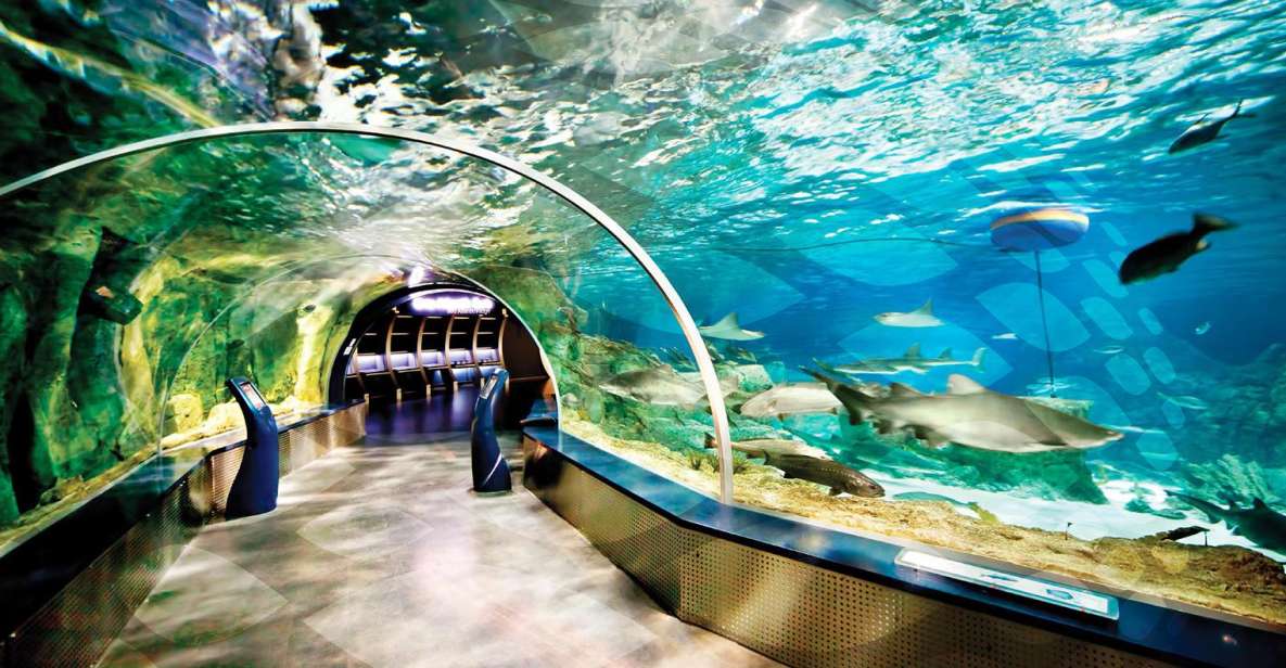 Istanbul Aquarium and Aqua Florya Shopping Mall Tour - Getting From the European Side to Aqua Florya
