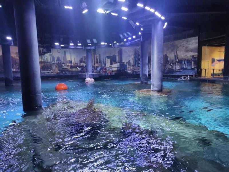 Istanbul: Aquarium Ticket and Round Trip Shuttle from Taksim - The Habitats: Black Sea to the Pacific, Plus Rainforests