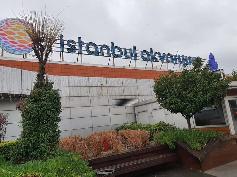 Istanbul: Aquarium Ticket and Round Trip Shuttle from Taksim - Timing Advice: Make the Return Shuttle Work for You