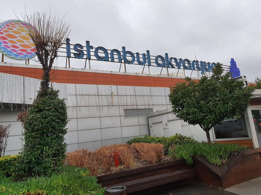 Istanbul: Aquarium Ticket and Round Trip Shuttle from Taksim - Price and Value: Is $33 a Good Deal?