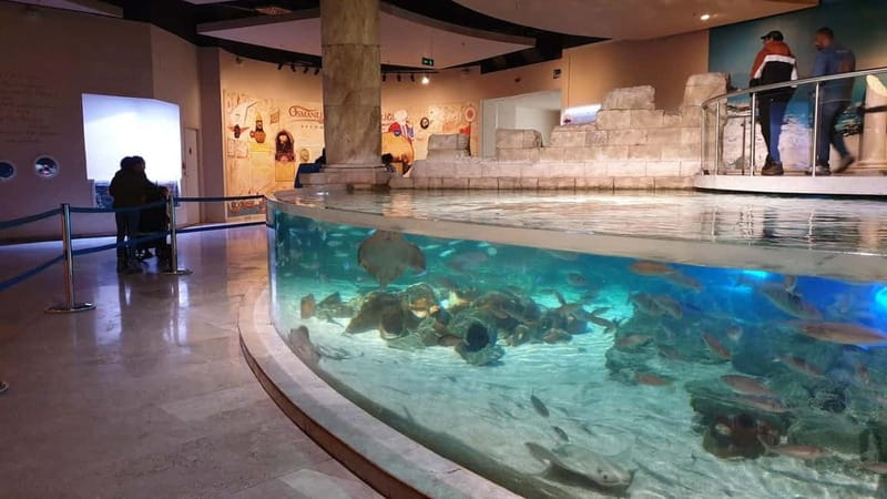 Istanbul: Aquarium Ticket and Round Trip Shuttle from Taksim - Who This Is For (and Who Should Rethink the Plan)