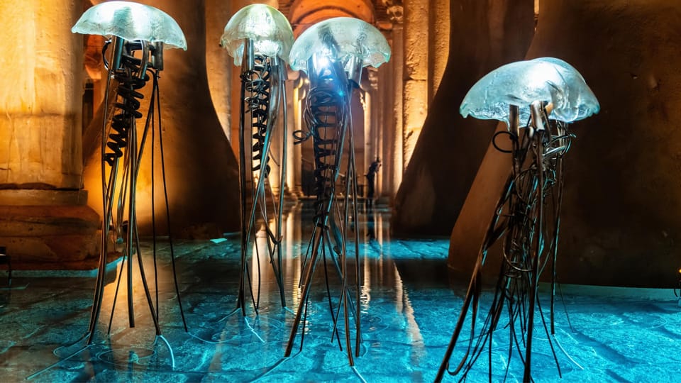 Istanbul: Basilica Cistern Guided Tour - How the 30-minute guided walk works