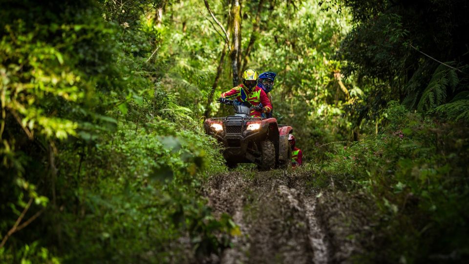 Istanbul: Belgrad Forest ATV Tour with Ziplining Option - Key highlights worth knowing