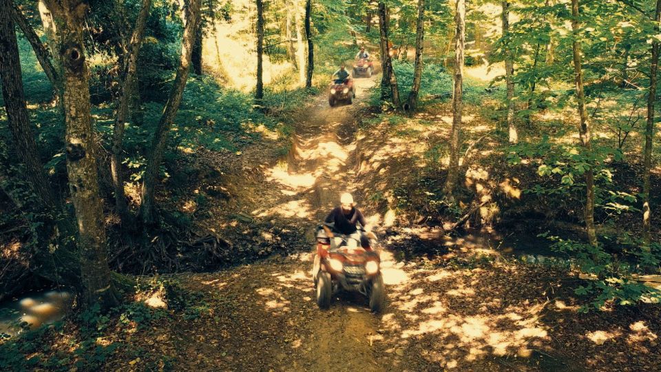 Istanbul: Belgrad Forest ATV Tour with Ziplining Option - The ATV ride itself: what 30 to 40 minutes really feels like