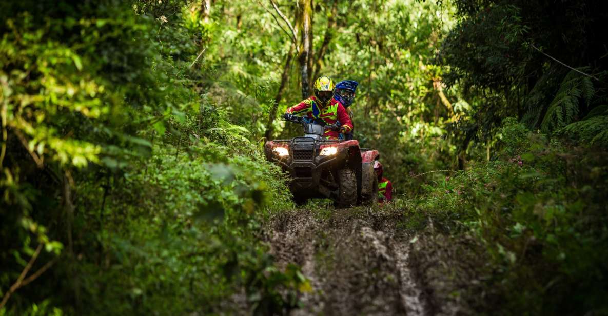 Istanbul: Belgrad Forest ATV Tour with Ziplining Option - Safety briefing and ATV test drive: how this tour tries to earn your confidence