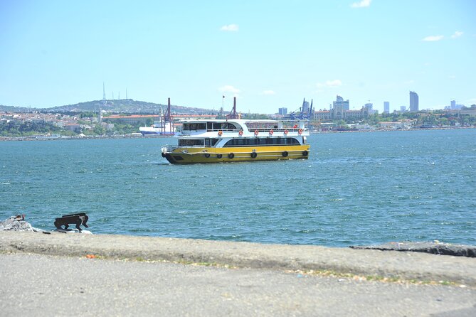 Istanbul: Bosphorus and Golden Horn Cruise with Audio Guide - Bridges, fortress stops, and the coastline power of Rumeli and Anatolian sides