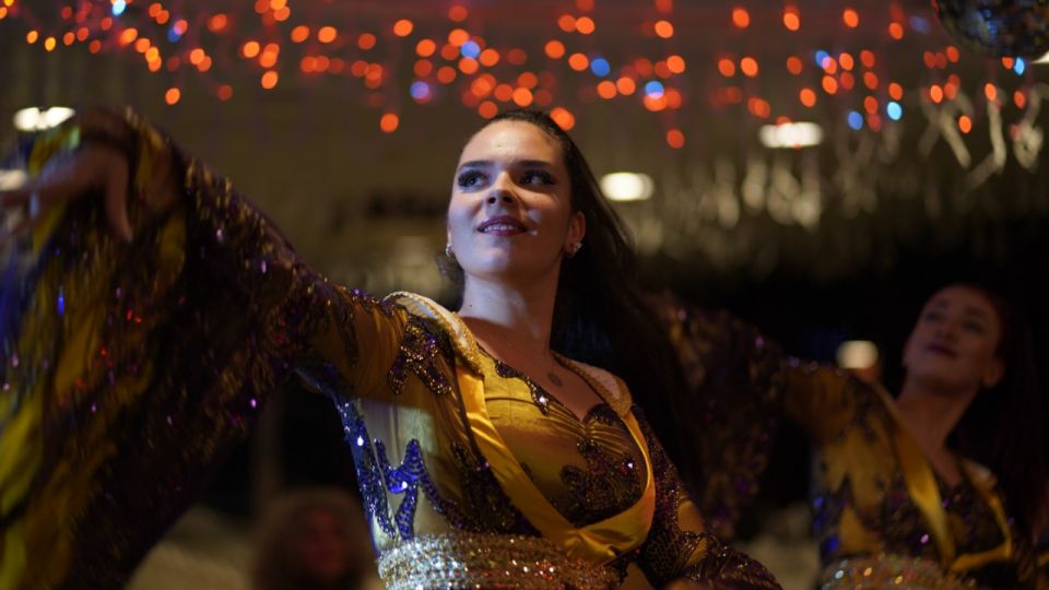 Istanbul: Bosphorus Dinner Cruise with Drinks & Turkish Show - Who This Boat Trip Suits Best (and Who Might Want Something Else)