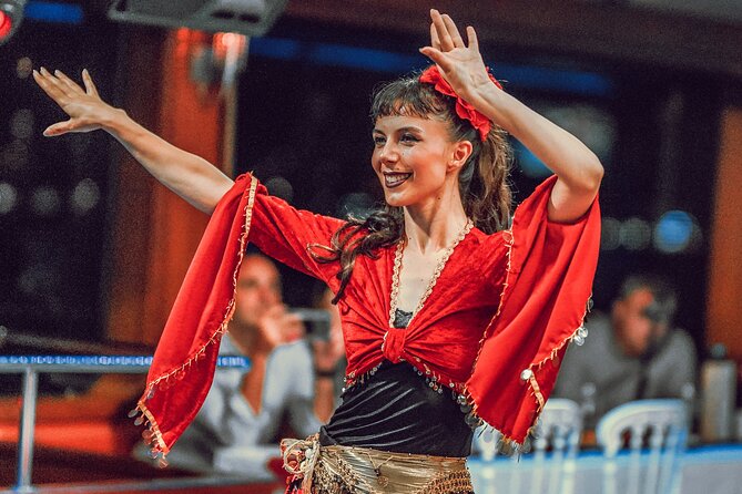 Istanbul Bosphorus Dinner Cruise with Turkish Night Show - Who should book this cruise (and who should look elsewhere)