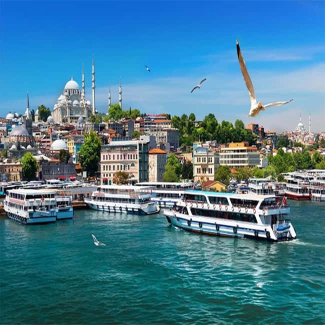 Istanbul Bosphorus Morning Cruise Guided Tour - Hotel pickup and drop-off: the value you feel immediately