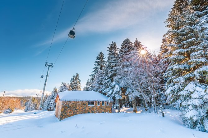 Istanbul: Bursa and Uludag Mountain Day Trip with Cable Car - Comfort and group size: small group, still a long day