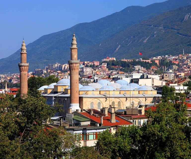 Istanbul: Bursa Tour w/ Cable Car Ride & Uludag Mountain - Uludağ National Park: The 600-Year-Old Tree Photo Stop
