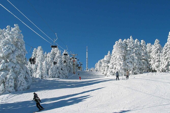 Istanbul: Bursa & Uludag Tour with Lunch & Cable Car Option - From your Istanbul hotel to Pendik: the day starts moving