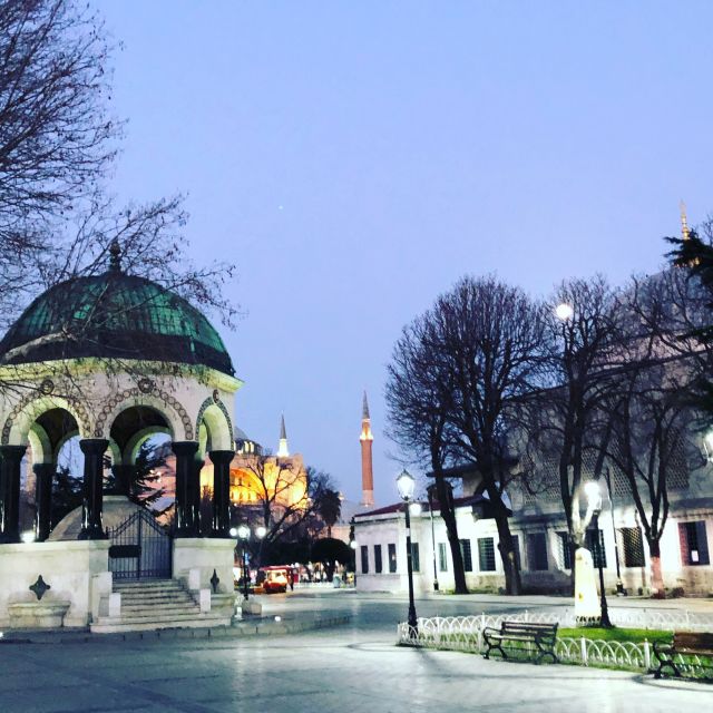 Istanbul: City Highlights Group Tour with Hagia Sophia Entry - Key points at a glance