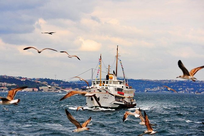 Istanbul Classics and Bosphorus Cruise Private Tour - Hagia Sophia Grand Mosque: Where Your Ticket Budget Shows Up