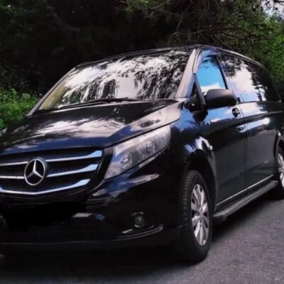 Istanbul: Customizable Sightseeing Private Driving Tour - Touring Istanbul with fewer decisions: how the driver helps in the real world