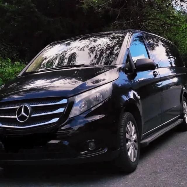 Istanbul: Customizable Sightseeing Private Driving Tour - Touring Istanbul with fewer decisions: how the driver helps in the real world