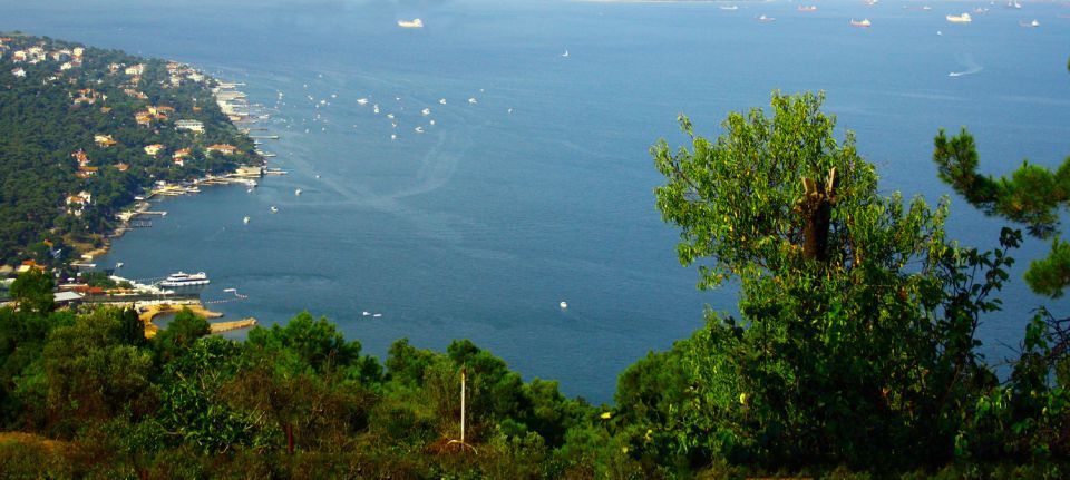 Istanbul: Day Trip to the Princes' Islands - How the 6 Hours Actually Work (and Why Timing Matters)