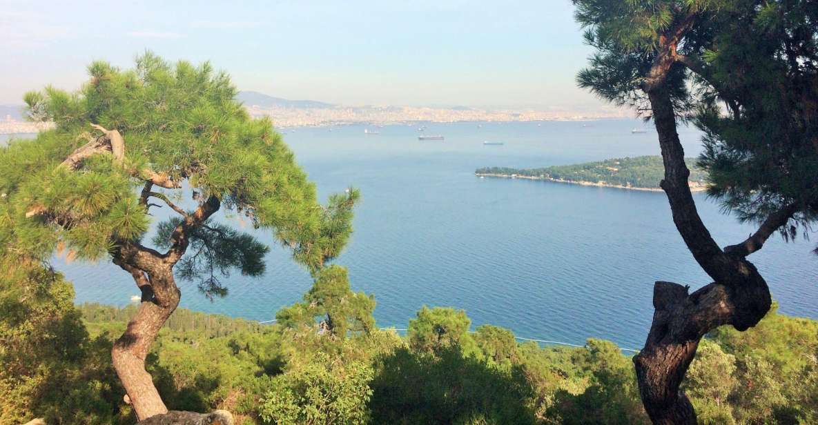 Istanbul: Day Trip to the Princes' Islands - Büyükada Walking Tour: Bay Views and the Village Square
