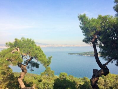 Istanbul: Day Trip to the Princes' Islands - Marmara Sea Cruise: The Part That Sets the Mood
