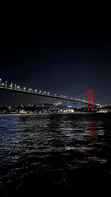 Istanbul: Exclusive Istanbul Night Tour with Private VIP Car - Price and Value: What You Pay for $118 Per Group