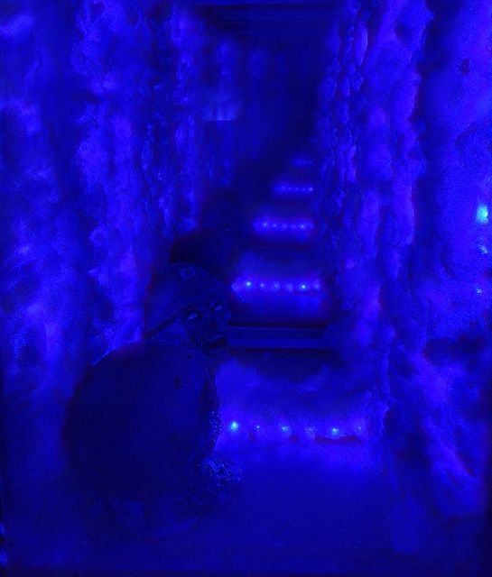 İstanbul: Frankenstein House of Horror, Escape Room Game - Should you book Frankenstein House of Horror in Kadıköy?