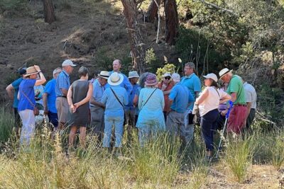Istanbul Gallipoli Experienced Daily Tour - The long ride to Eceabat: comfortable coach, quick pacing