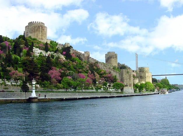 Istanbul Half-Day Tour and Bosphorus Cruise - Bosphorus Cruise Energy: Two Continents, One Short Day