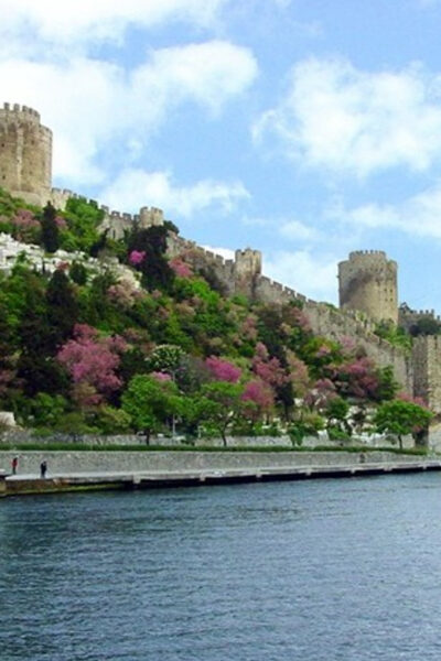 Istanbul Half-Day Tour and Bosphorus Cruise - Maiden’s Tower Photo Stop and the Shoreline View Logic
