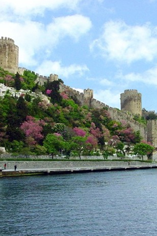 Istanbul Half-Day Tour and Bosphorus Cruise - Maiden’s Tower Photo Stop and the Shoreline View Logic