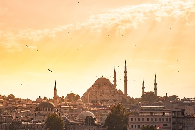 Istanbul Highlight Shore Excursion for Cruise Ship Passengers - Your Guide and the Pace: Why This Works for Cruise Passengers